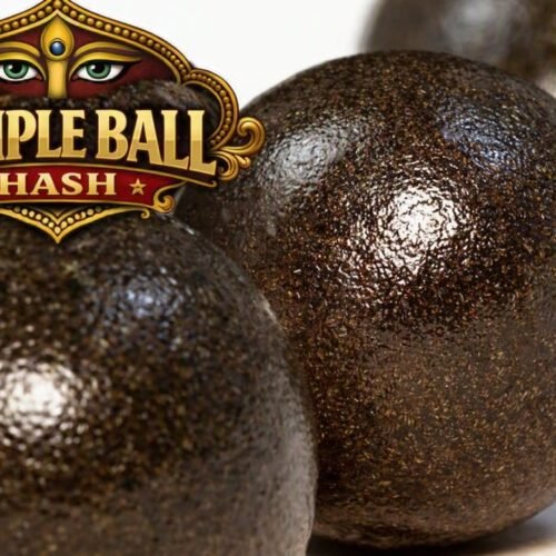 The History of Temple Ball Hash: From Traditional Hashish to Modern Craft