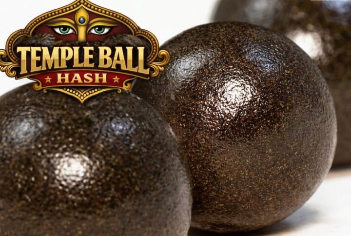 The History of Temple Ball Hash: From Traditional Hashish to Modern Craft