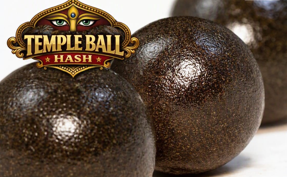 history of temple ball hash